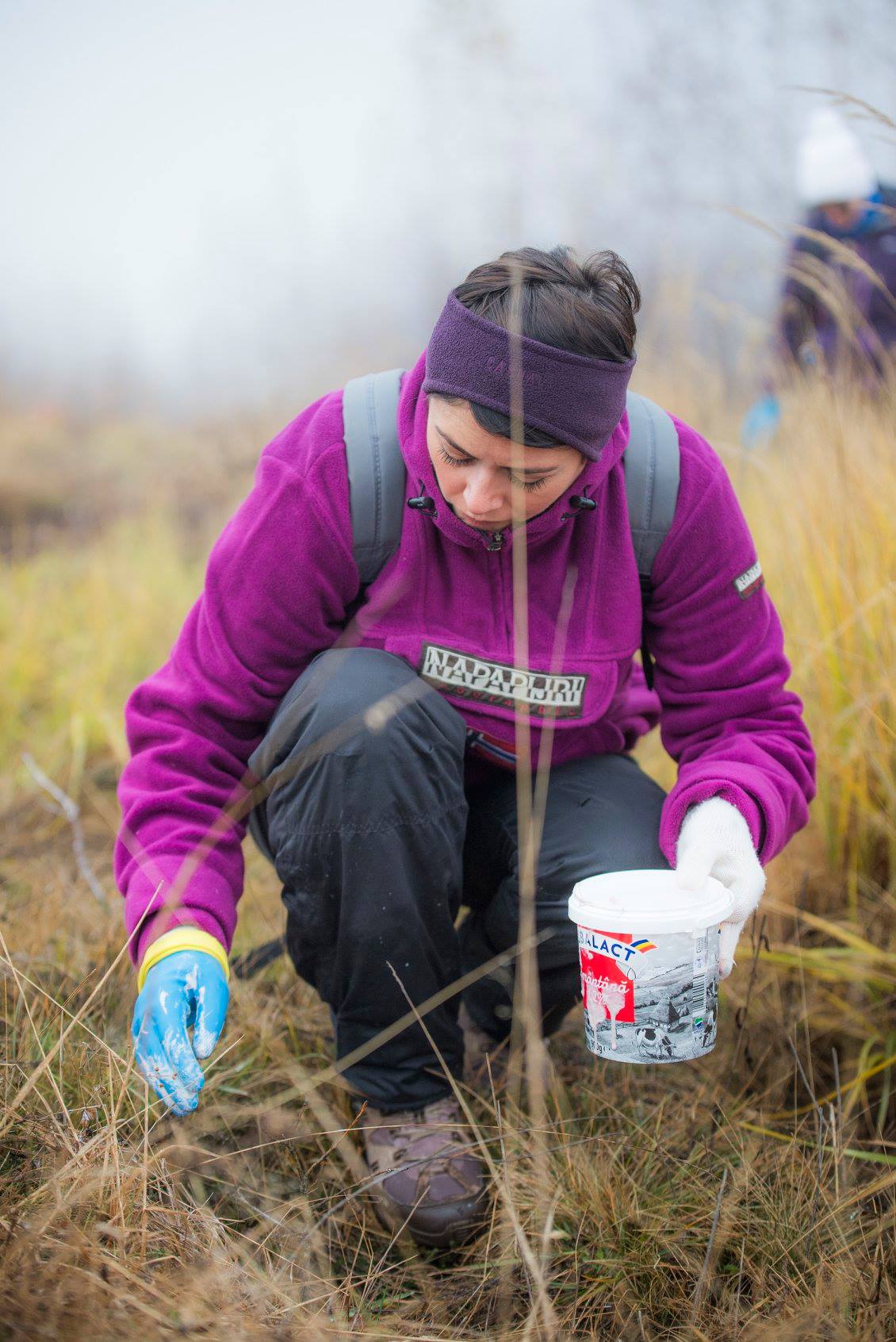 Arpasu Iarna 2018 11